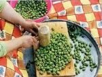YEŞİL KIRIK ZEYTİN-12 KG - Görsel 2