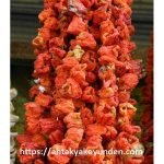 DOLMALIK BİBER KURUTMA-1 DİZİM