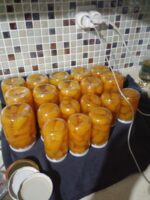 TURUNÇ REÇELİ - 1 KG - Görsel 9